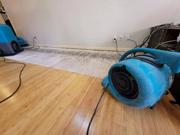 Professional Water Damage Repair technician working in Wayzata, MN